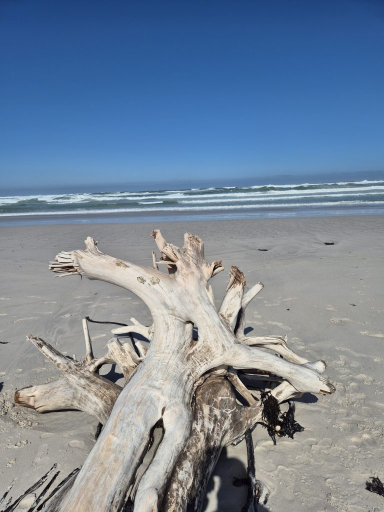 Beach Photo 3 Beach Photo 3